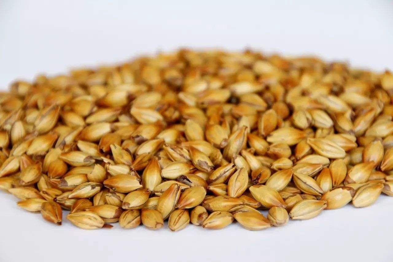 做精釀啤酒，如何選擇合適的粉碎機？