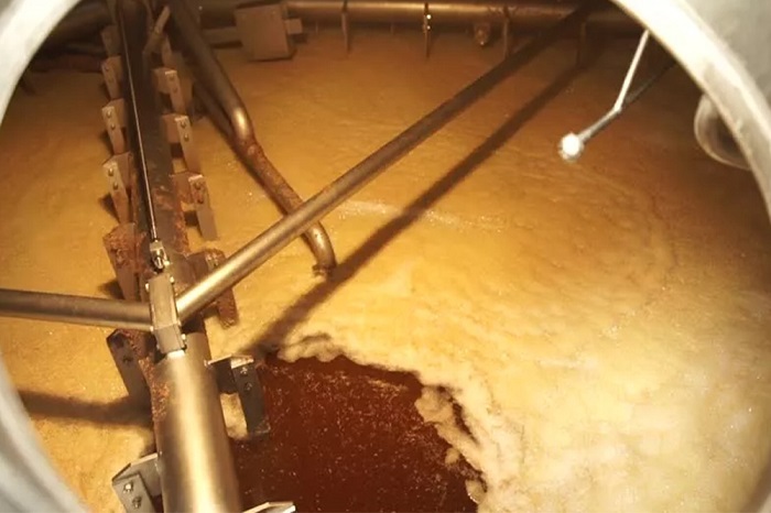 精釀啤酒廠有哪些節水策略？