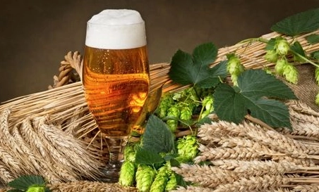 精釀啤酒中，如何選擇恰當的浸麥方法？